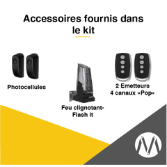 Kit Moteurs battant à bras Swing it B 24 v